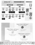 Closeup of USAF badges display